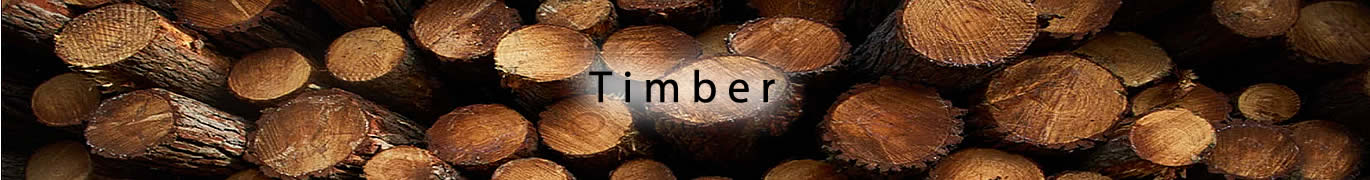 Timber