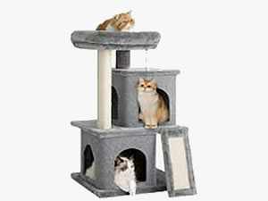 Pet Furniture