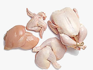 Poultry
