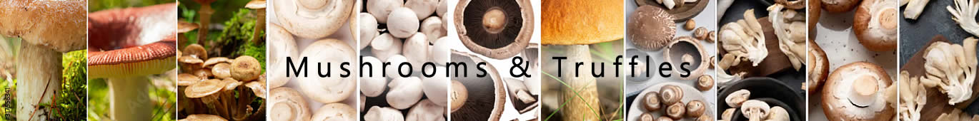 Mushrooms|Truffles