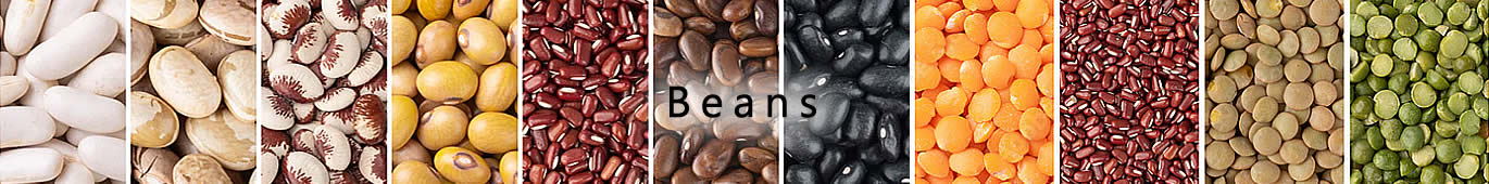 Beans