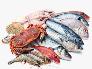 Seafood