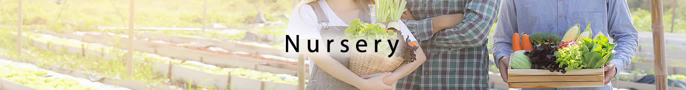 Nursery